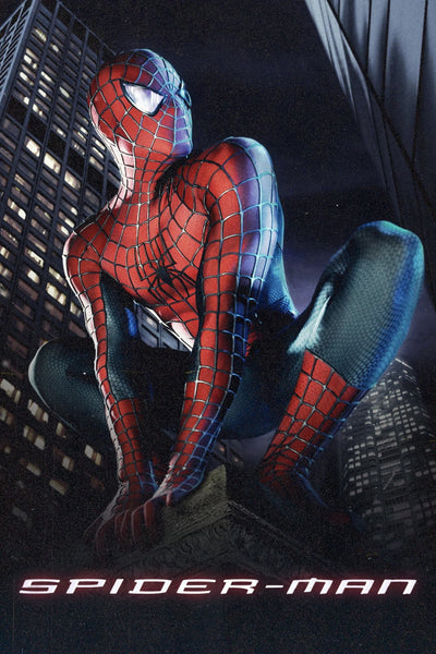 Relive the Hero's Journey with Spider-Man (2002) Wall Art - Premium Movie Poster