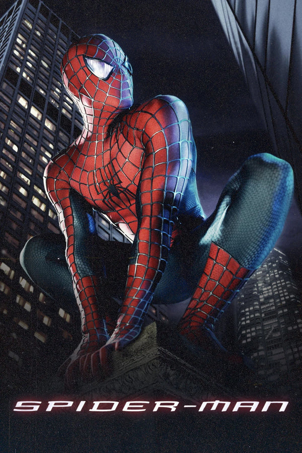 Relive the Hero's Journey with Spider-Man (2002) Wall Art - Premium Movie Poster