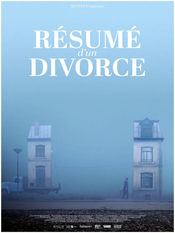 Résumé d'un divorce Movie Poster - French Film Art Print Movie Poster | Film Wall Art Print