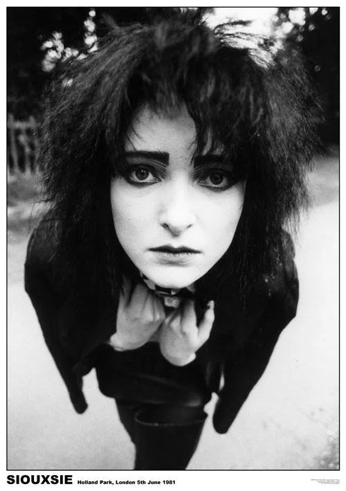 Siouxie And the Banshees Poster: Punk Rock Icons Explored Movie Poster | Film Wall Art Print