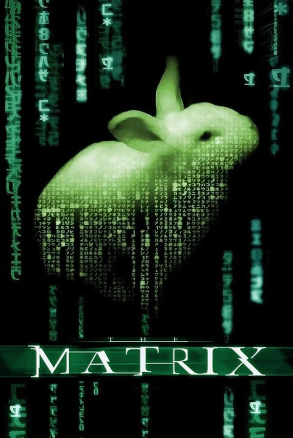 The Matrix (1999) Digital Rain Poster Art - Premium Movie Poster