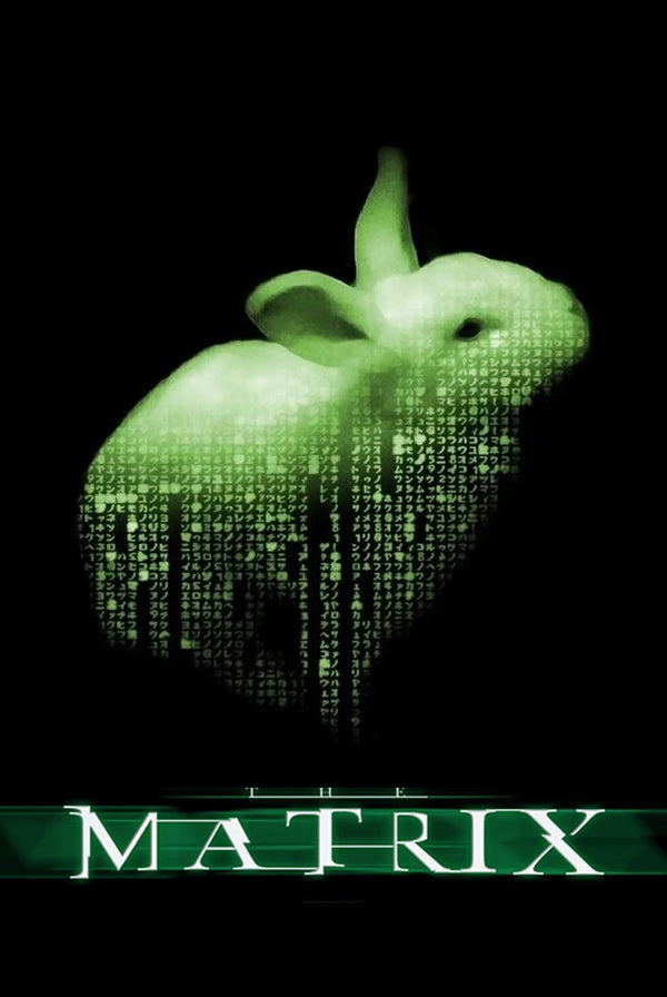 The Matrix (1999) Movie Poster - Iconic Cyberpunk Wall Art - Premium Movie Poster