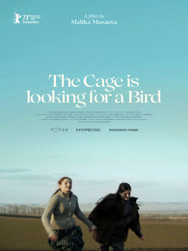 The Cage is Looking for a Bird - Movie Poster Art Movie Poster | Film Wall Art Print