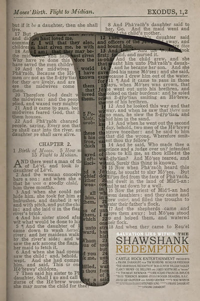 Timeless Drama: Shawshank Redemption (1994) Poster - Premium Movie Poster