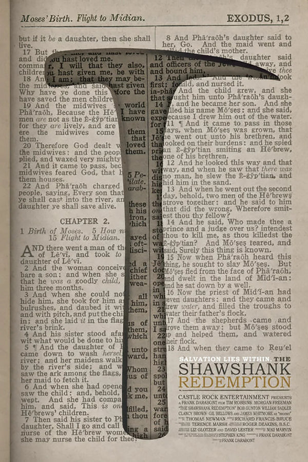 Timeless Drama: Shawshank Redemption (1994) Poster - Premium Movie Poster