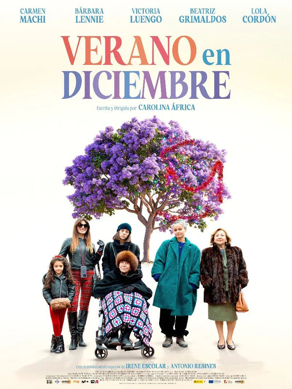 Verano en Diciembre Movie Poster - Official Film Art Movie Poster | Film Wall Art Print
